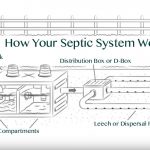 How Does Your Septic System Actually Work?