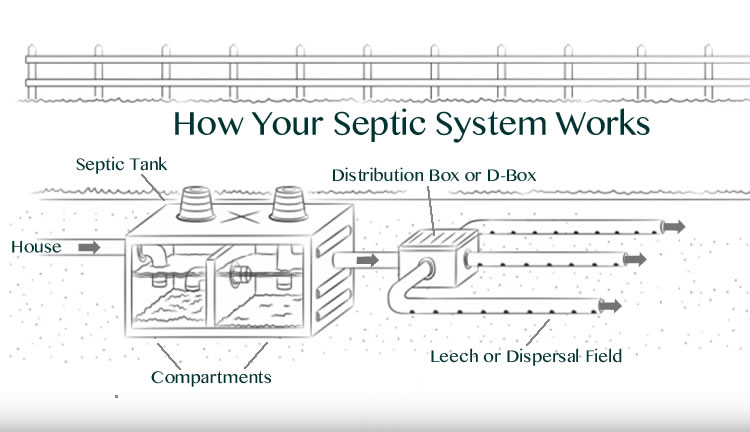 How Does a Septic System Work?