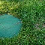 Septic Systems and Buying or Selling a Home